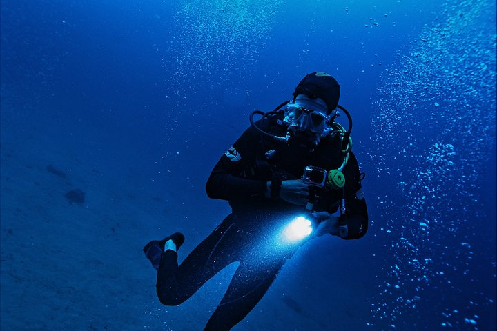 Pro Scuba Diving from Bentota - Photo 1 of 6